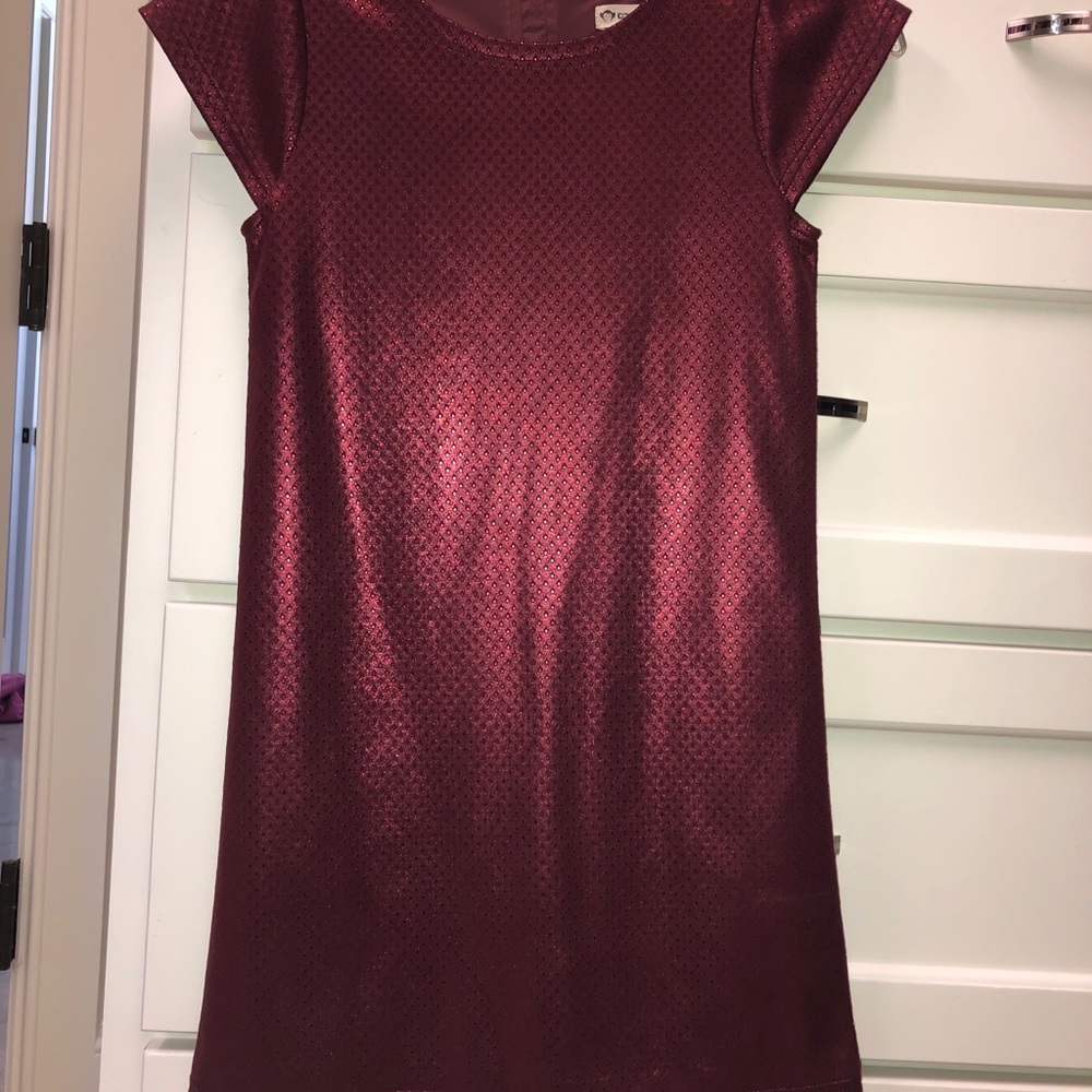 PERFECT HOLIDAY DRESS - Picture 4 of 4